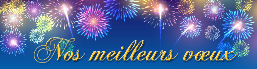 Vœux 2026